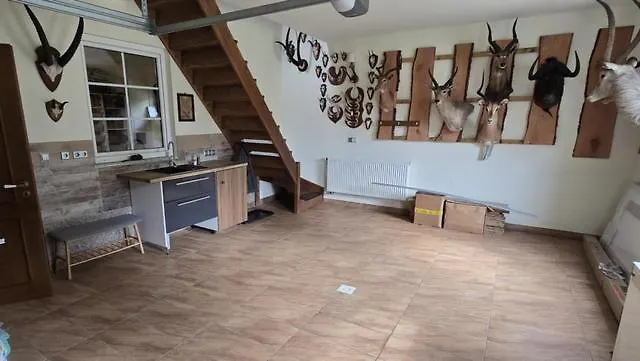 Apartment Afrika Jastrzebie Zdroj